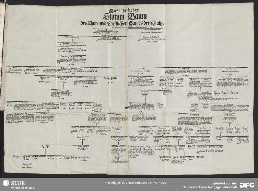[Num. I.] Ausführlicher Stamm-Baum des Chur- und Fürstlichen Hauses der Pfaltz