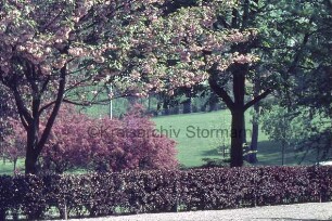 Kurpark: vorn Weg und Hecke: dahinter Rasenfläche mit Büschen und Bäumen