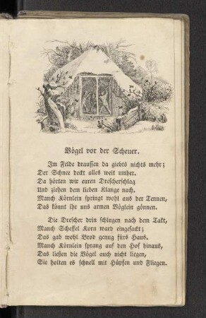 Vögel vor der Scheuer.