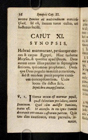 16-81, Caput XI. - XX.