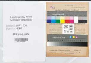 Entnazifizierung Alex Knipping, geb. 11.06.1899 (Metzgermeister)