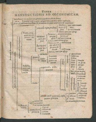 Typus Manuductionis Ad Oeconomicam.