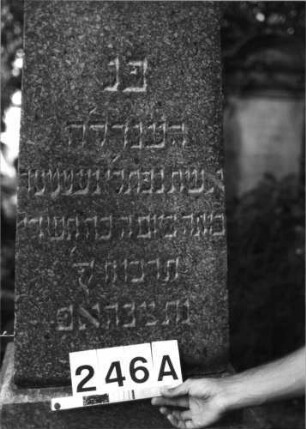 Grabstein 246 (Index: 100085069) Maße HxBxT: 255x60x56 cm Beschreibung: Obelisk, getreppter Sockel: Grabstein 246A