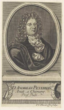 Bildnis des Andreas Peterman