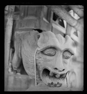 Wasserspeier am Turm der Stiftskirche