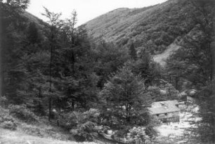 Frauenwald. Thomasmühle