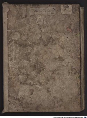 Annotationes in evangelium Johannis - BSB Clm 6269