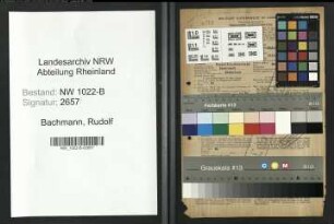 Entnazifizierung Rudolf Bachmann , geb. 19.02.1896 (Banker)