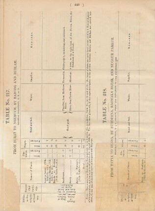 Table No. 217. From Surat to Neemuch, by Baroda and Rutlam