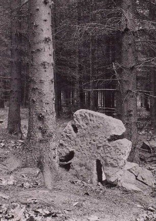 Tatzenkreuz : Börnersdorf, Steinkreuz (Tatzenkreuz; D 179) im Heidenholz, ostnordöstlich des Ortes, nördlich der Straße nach Hartmannsbach