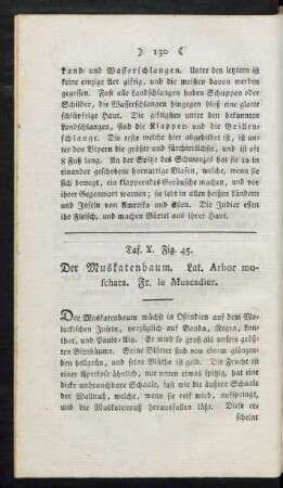 Tafel X. Fig. 45. Der Muskatenbaum Fig. 46. Der Gewürznelkenbaum Fig. 47. Der Zimmerbaum