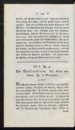 Tafel X. Fig. 45. Der Muskatenbaum Fig. 46. Der Gewürznelkenbaum Fig. 47. Der Zimmerbaum