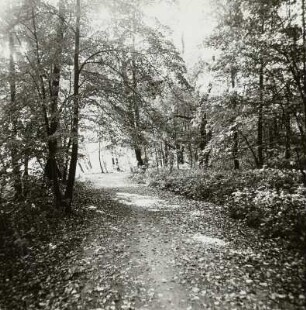 Parkweg am Spreeufer