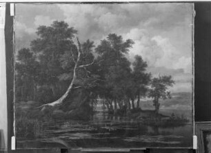 Eichen an einem See mit Wasserrosen