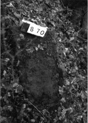 Grabstein 870