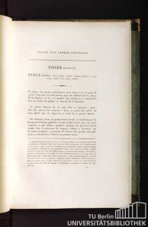 Traité des arbres fruitiers. Poire d'amour. Pyrus amoris, fructu omnium maximo, utrinque attenuato, è viridi citrino, maculis fulvis notato, brumali.