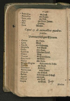 Caput 15. de animalibus quadrupedibus. [Caput. 15-30]