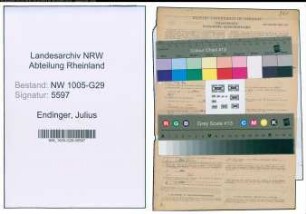 Entnazifizierung Julius Endinger , geb. 19.09.1895 (Bahnbeamter)
