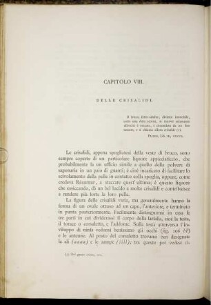 Capitolo VIII.