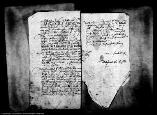 Domkapitel zu Magdeburg wider den Rat der Stadt Groß Salze wegen der jährlichen Zinsen