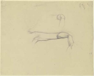Linker Arm der Ophelia