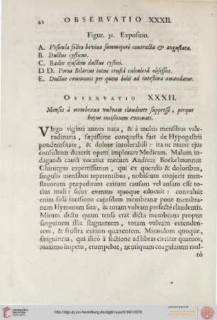 Observatio XXXII