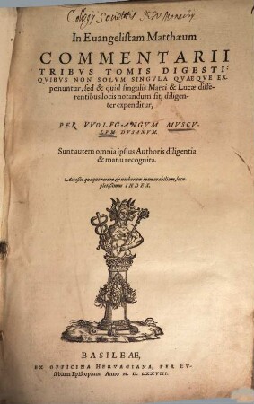 In Evangelistam Matthaeum Commentarii