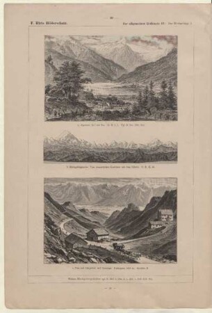 Alpensee: Zell am See