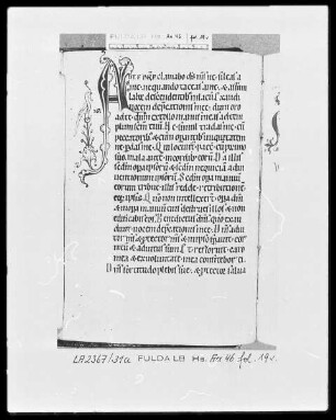 Psalterium cum Canticis — Initiale A (d te domine) mit Randausläufer, Folio 19verso