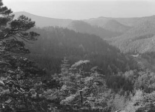 Blick vom Töpfer auf das Zittauer Gebirge : Zittauer Gebirge. Blick vom Töpfer auf Oybin und den Hochwald