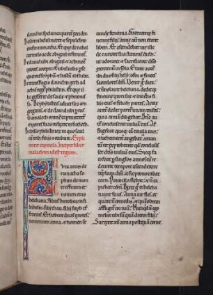 Zierinitiale (I. Regum): F(uit vir unus)