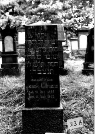 Grabstein 313 [Nir S. 205 Nr. 18.19]