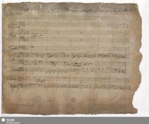 Il pazzo per forza. Excerpts - Mus.3549-F-23 : V (2), orch