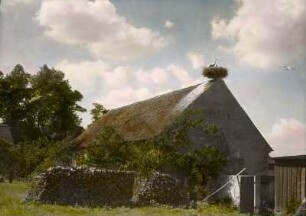 Gehöft im Spreewald. Gartenseite eines Stallgebäudes oder Wohnstallhauses mit Storchennest