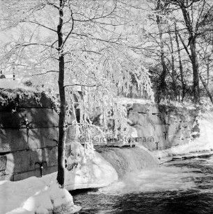 Mühlenteich: Wehr mit Überlauf: vorn links Baum mit Raureif: Winter