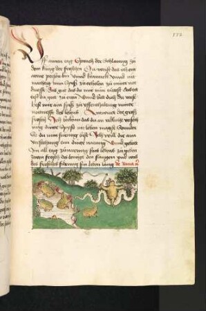 Der Froschkönig reitet auf der Schlange; (Kapitel V: Von den Raben und den Aaren).