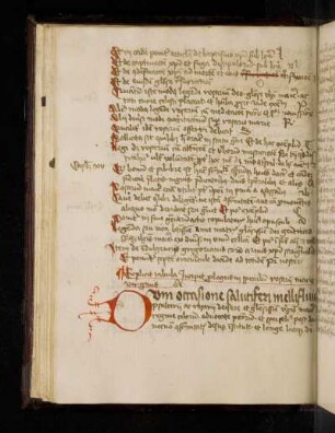 Incipit prologus in speculum rosarii Marie virginis