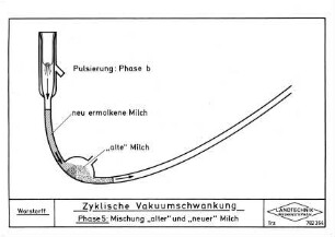 Zyklische Vakuumschwankung, Phase 5: Mischung "alter" und "neuer" Milch