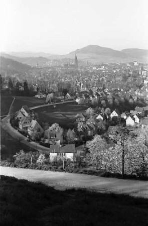 Blick auf Freiburg mit Schönberg durch die Blüten der Eichhalde