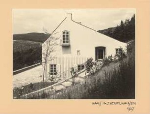 Haus Schlemmer, Heidelberg-Ziegelhausen: Eingang