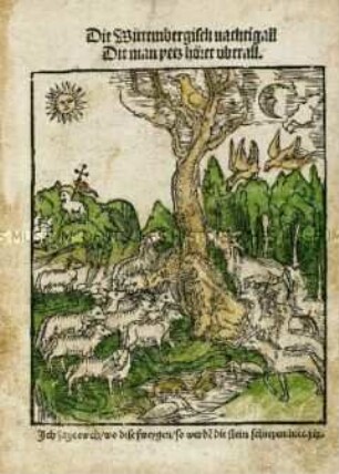 Die Wittenbergisch Nachtigall