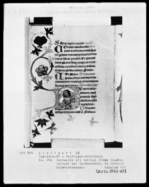 Gebetbuch des Konrad Peutinger — Initiale D (eus in adiutorium), darin Schmerzensmann, Folio 24verso