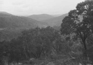 Landschaft am Lukumburu : Bergige Landschaft mit Bäumen
