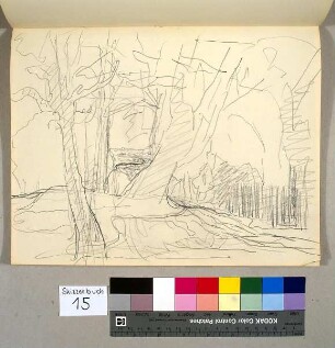 Waldlandschaft