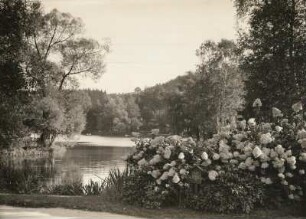 Gondelteich, Luisa-See