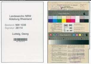 Entnazifizierung Georg Ludwig , geb. 18.01.1898 (Ingenieur)