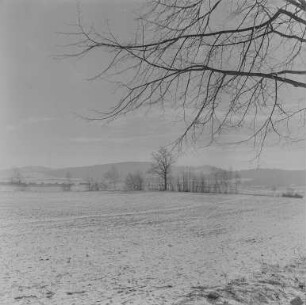 Landschaften : Oberlausitz. Lausitzer Bergland. Winteraufnahme