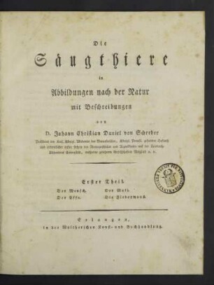 1: Der Mensch. Der Affe. Der Maki. Die Fledermaus
