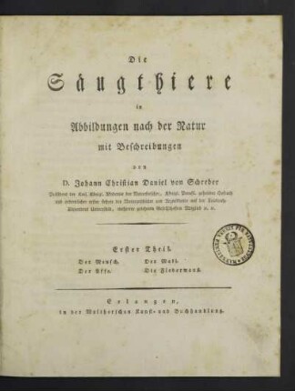 1: Der Mensch. Der Affe. Der Maki. Die Fledermaus