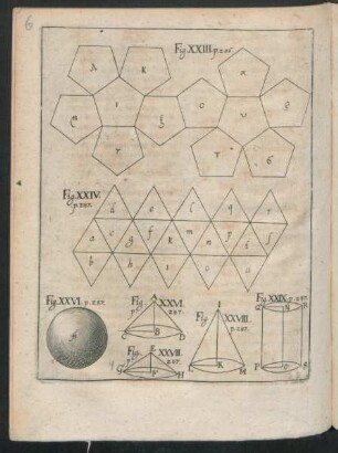 Fig. XXIII - Fig. XXIX
